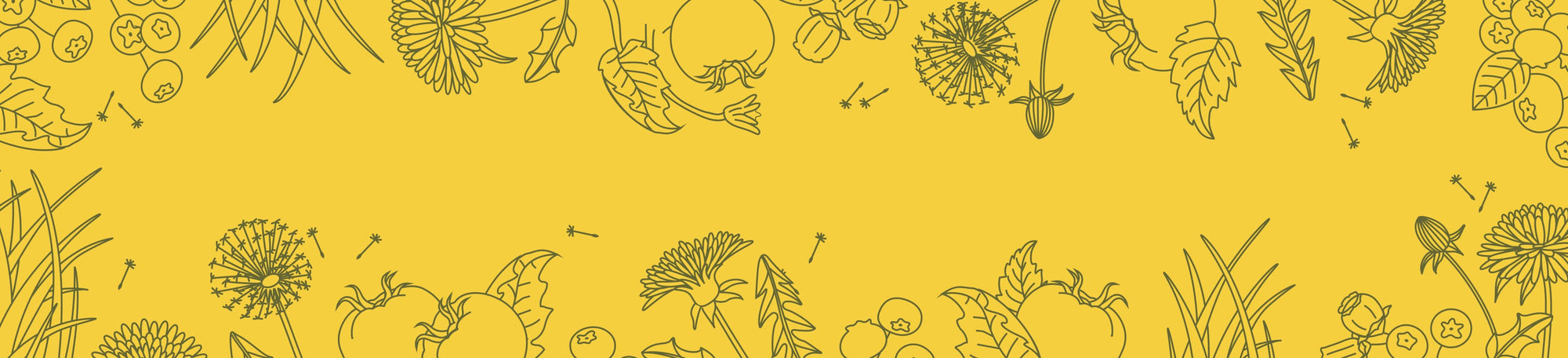 Seasonal Scents